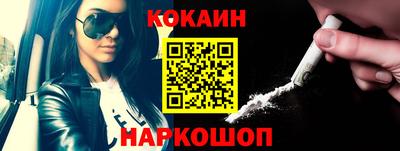 apvp Гатчина