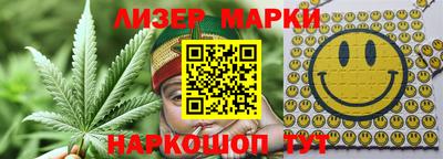 apvp Гатчина