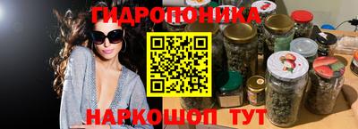 apvp Гатчина