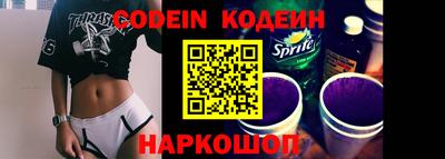 apvp Гатчина