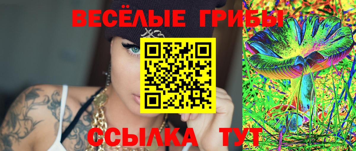 Можга  Псилоцибиновые грибы Psilocybine cubensis  Вход с VPN 