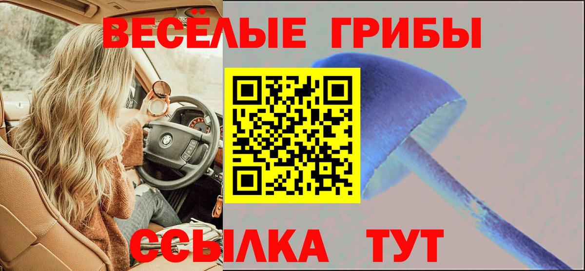 Галлюциногенные грибы прущие грибы Можга